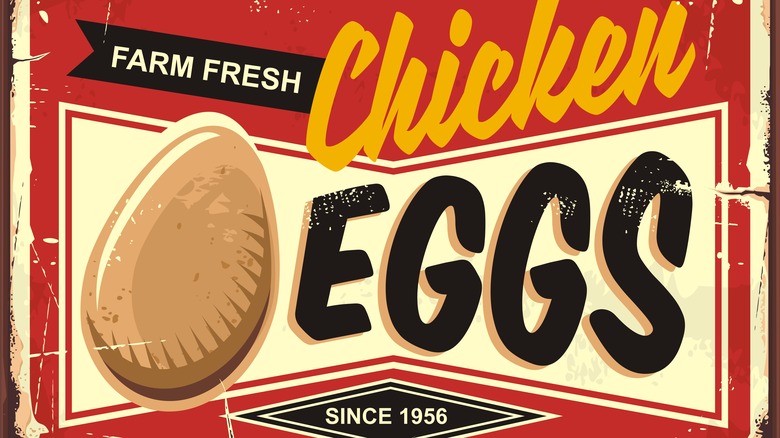 egg carton